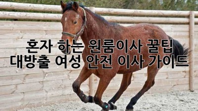 혼자 하는 원룸이사🏠 꿀팁 대방출! 여성 안전 이사 가이드✨