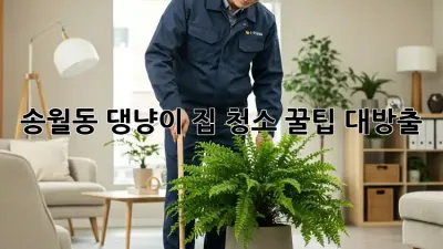 송월동 댕냥이 집 청소🧹✨ 꿀팁 대방출!